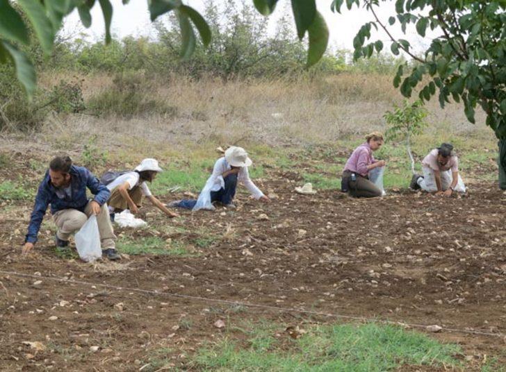 Manyas Gölü yakınlarında heyecanlandıran kazı!  G3