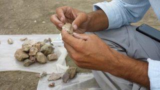 Manyas Gölü yakınlarında heyecanlandıran kazı! 