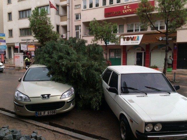 Ağaç park halinde araçların üzerine devrildi