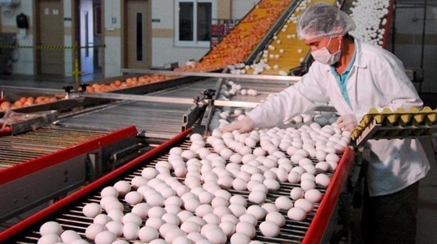 Fiyatlar u&ccedil;tu, tavuklar altın yumurtlamaya başladı