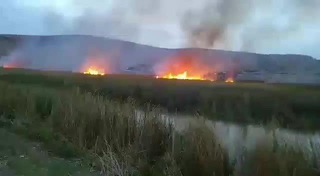 Hatay’da 8 dönüm sazlık alan kül oldu