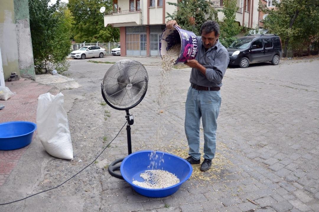 Fasulye hasadında r&uuml;zgar olmayınca vantilat&ouml;r kullandı