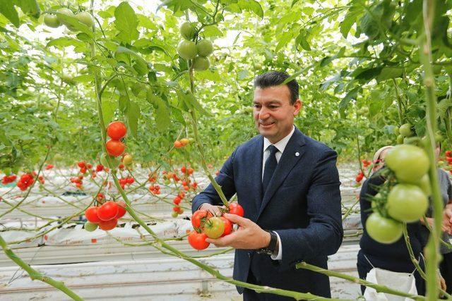 Başkan Akın, “Kır Belediyeciliğinde öncü olacağız”