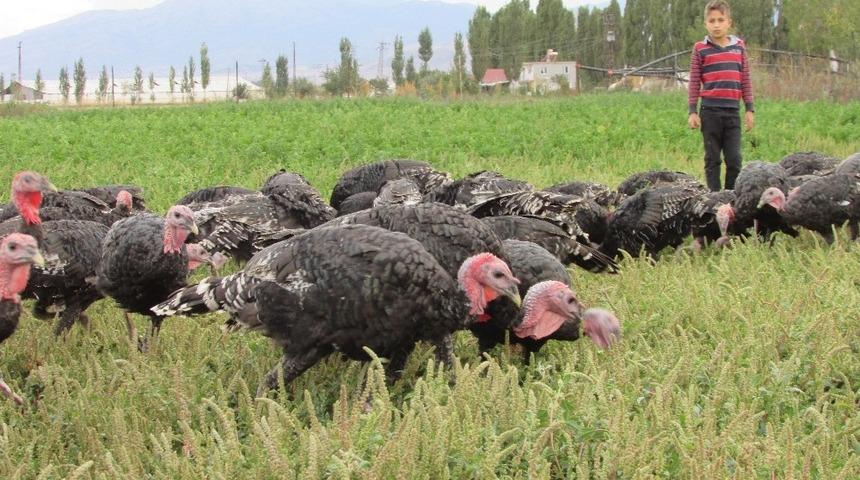 &Ouml;nce kendisi i&ccedil;in &uuml;retti, talep gelince besihane kurdu