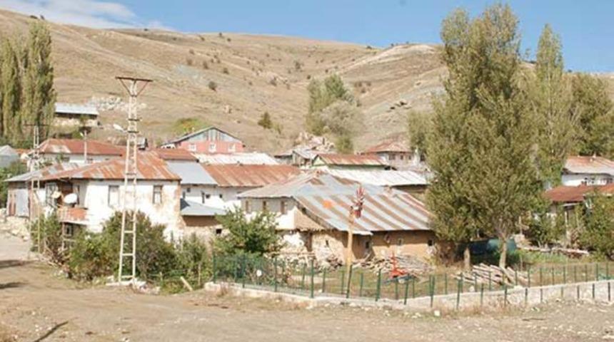 Tokat'ta 4 metrelik yılan paniği! Hızla yayılıyor