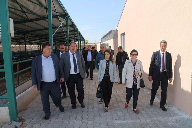 Bilecik, Tarıma Dayalı İhtisas Organize Sanayi Bölgeleri ile gelişecek