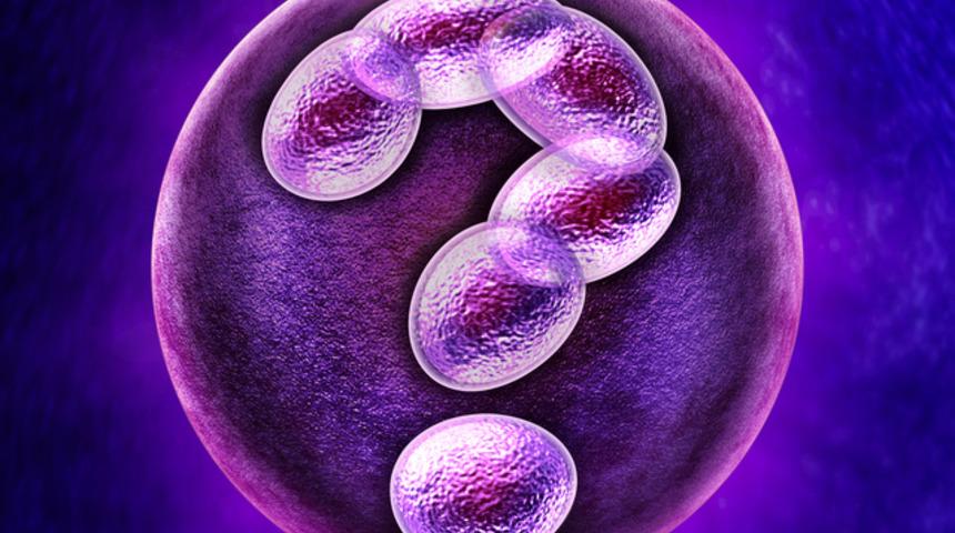 Dondurulmuş embriyo düşüğe neden olur mu?