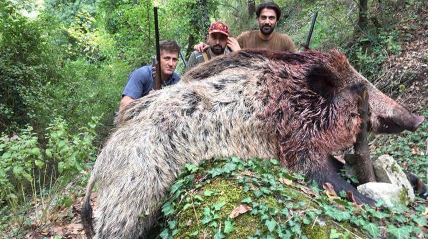 Görenler hayret ediyor! Tam 350 kilo