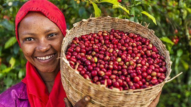 Kahvenin doğum yerinin Etiyopya olduğu düşünülüyor ve kahve içme ritüeli hala meşhur.