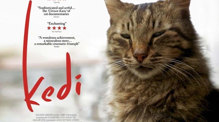 Mama getirene bu film ücretsiz