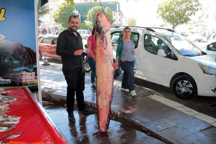 Yeşilırmak'ta 2 metrelik yayın balığı yakalandı G1