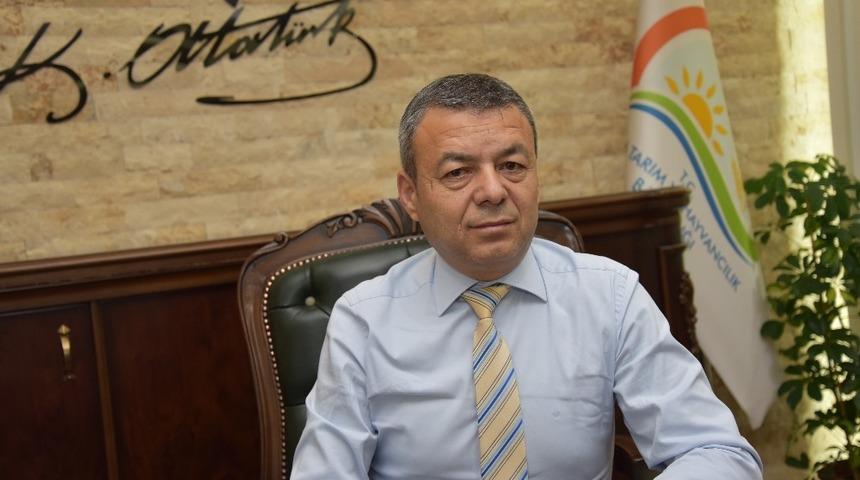 Antalya yerli kara sığır sayısı arttırılacak