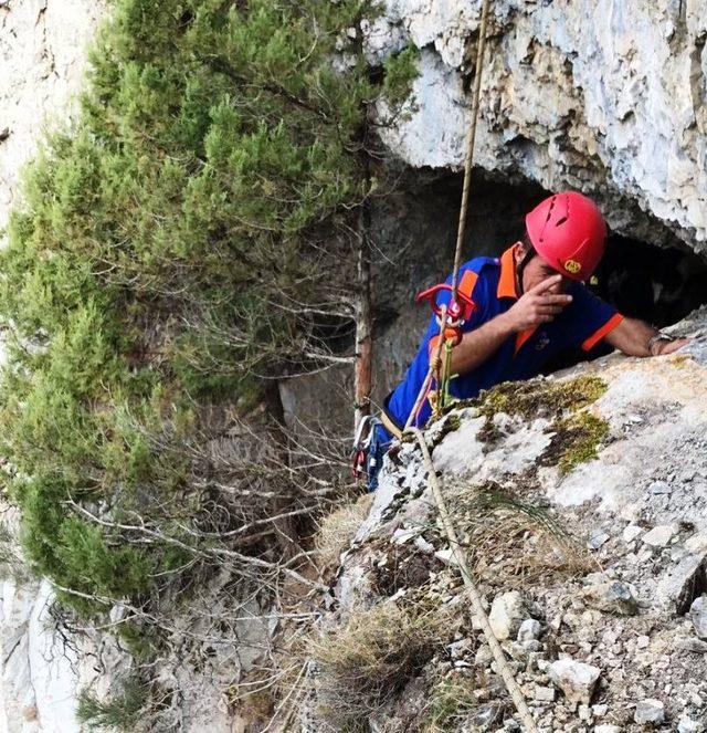 Mağarada mahsur kalan keçileri AFAD kurtardı