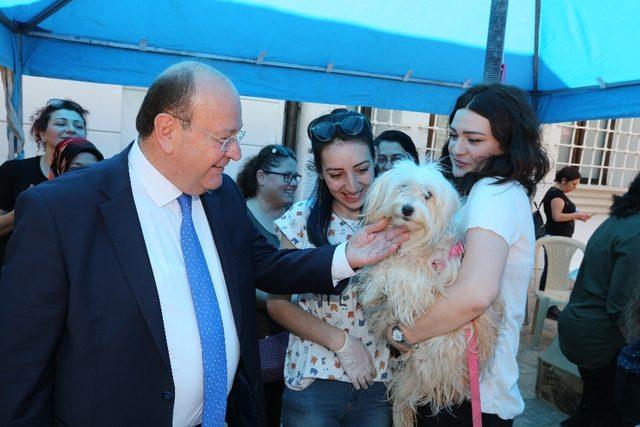 Başkan Özakcan’ın ’Hayvanları Koruma Günü’ mesajı