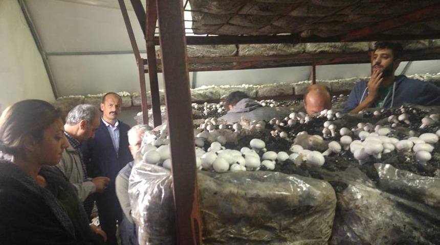 Erzincanlı &ccedil;ift&ccedil;iler tarım fuarına Katıldı