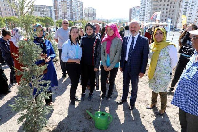 Kocasinan’da doğaya hanımeli değdi