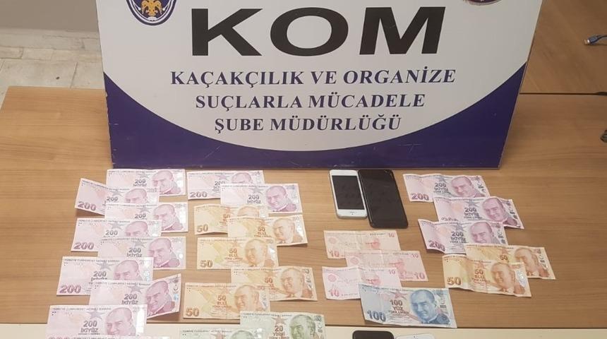 İnternet dolandırıcısı yakalandı