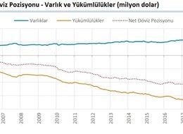 Finans dışı şirketlerin döviz açığı 217.2 milyar dolara yükseldi