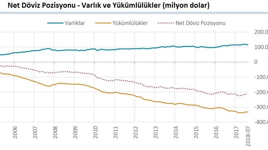 Finans dışı şirketlerin döviz açığı 217.2 milyar dolara yükseldi