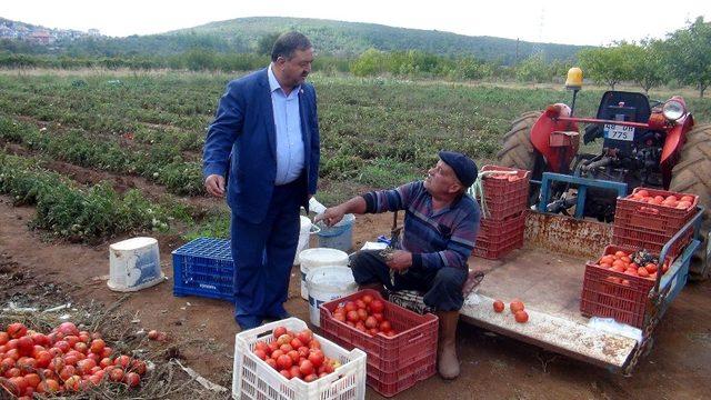 Baştuğ: “Yağışlar üretici açısından iyi”