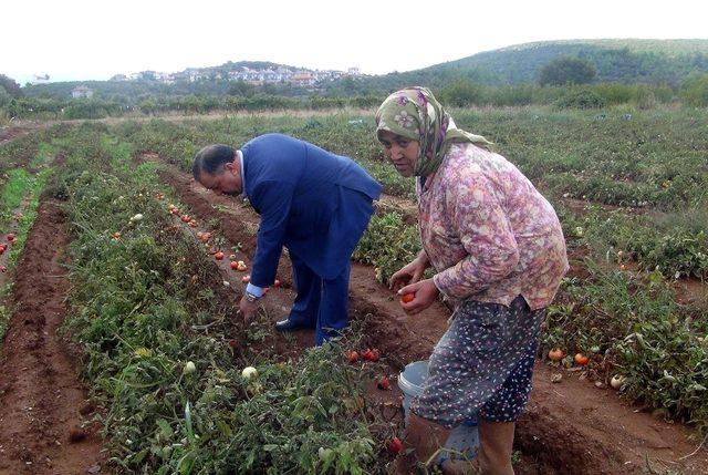 Baştuğ: “Yağışlar üretici açısından iyi”