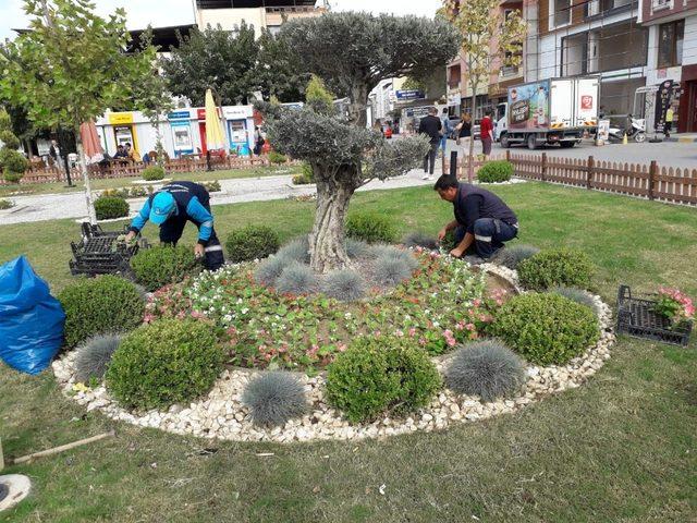 Yunusemre’de park ve bahçelere kış bakımı