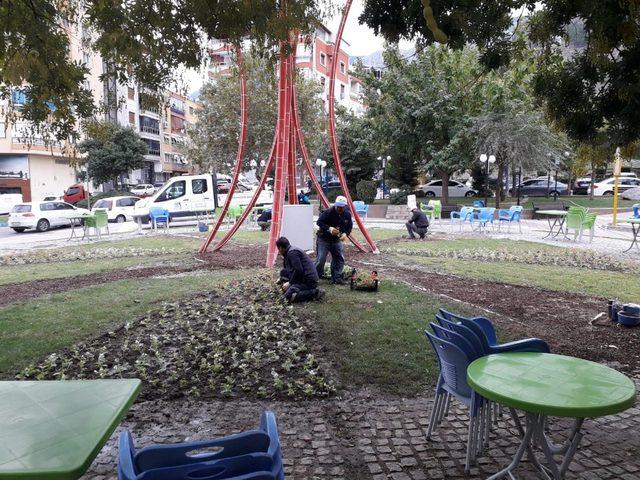 Yunusemre’de park ve bahçelere kış bakımı