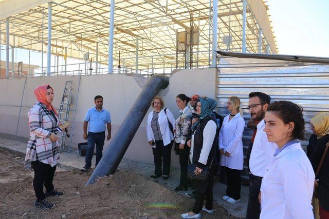 “Belediye Tesislerimizi Tanıyoruz” projesi faaliyete geçti