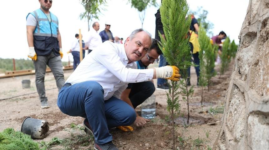 Pamukkaler Belediyesi&rsquo;nin &rsquo;vizyon projesi&rsquo; yeşilleniyor