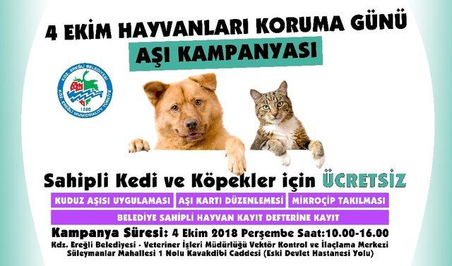 Kdz. Ereğli Belediyesi’nden kedi ve köpekler için aşı daveti