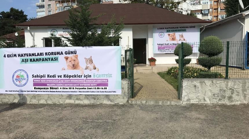 Kdz. Ereğli Belediyesi&rsquo;nden kedi ve k&ouml;pekler i&ccedil;in aşı daveti