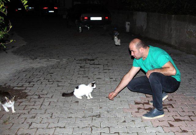 Kedileri çuvala koymaya çalışırken görüntülenen madenci: Kötü bir niyetim yoktu