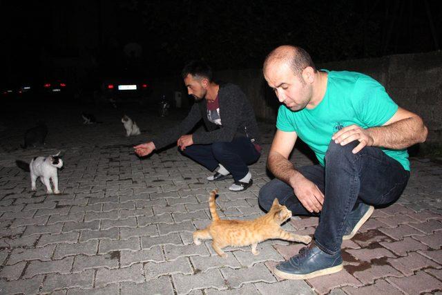 Kedileri çuvala koymaya çalışırken görüntülenen madenci: Kötü bir niyetim yoktu