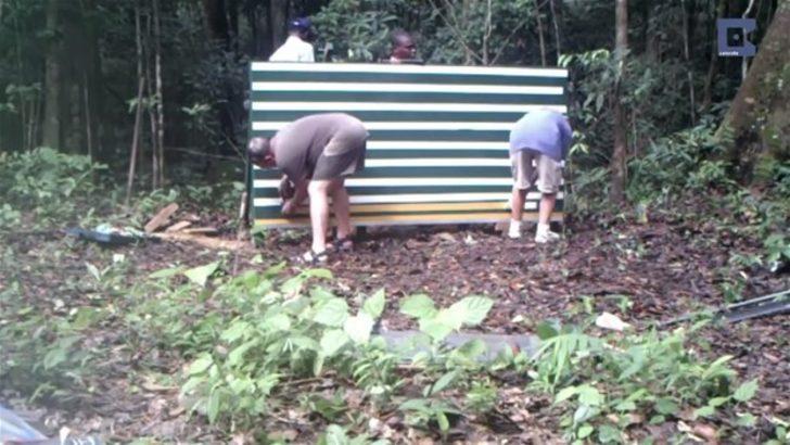 Hayvanlar aynayı görünce bakın ne yaptı G1