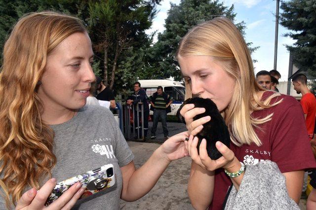 Avrupalı gençler hayvan hakları için Çorlu’da buluştu