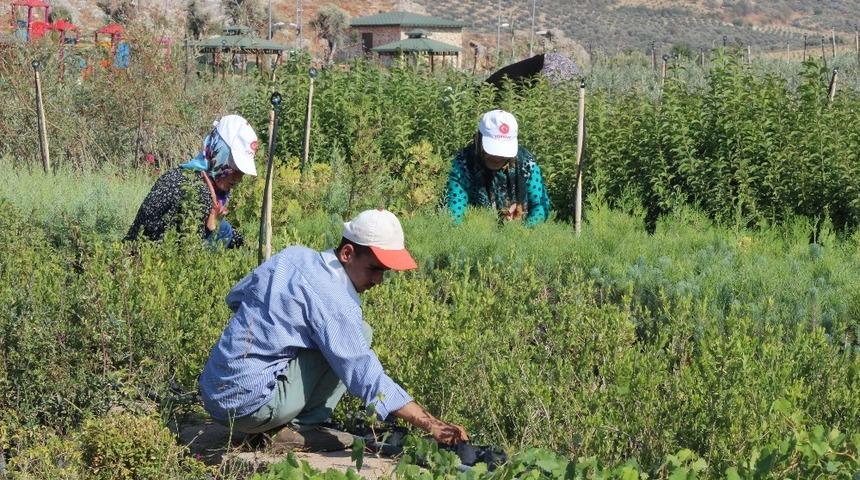 Kursiyerler il&ccedil;enin peyzaj ihtiyacını karşılıyor