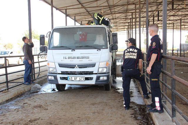 Kasapların soğukkanlı müdahalesi bu defa can ve mal kaybını önledi