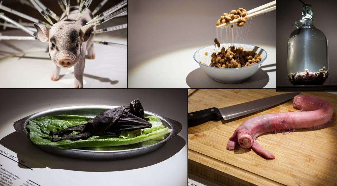 B&ouml;yle m&uuml;ze g&ouml;r&uuml;lmedi: Yarasa &ccedil;orbası, &ccedil;&uuml;r&uuml;k yumurta, kurtlu peynir...