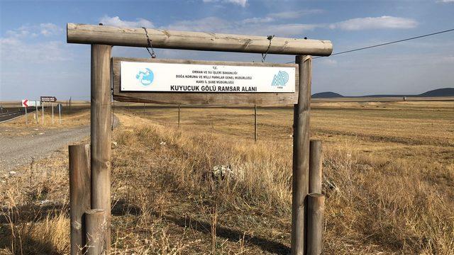 Kuyucuk Gölü Kuş Cenneti kurudu!