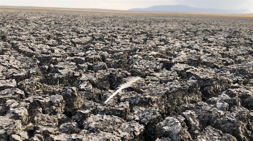 Kuyucuk G&ouml;l&uuml; Kuş Cenneti kurudu