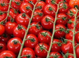 Eylül ayının zam şampiyonu domates