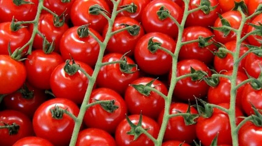 Avrupa'ya ihracat, domates fiyatını artırdı