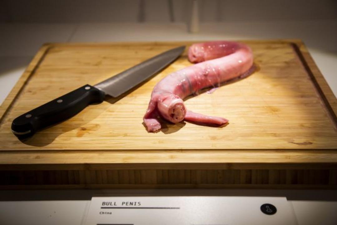 D&uuml;nyanın ilk iğren&ccedil; m&uuml;zesi a&ccedil;ılacak: Kurtlu peynir, yarasa &ccedil;orbası, boğa penisi