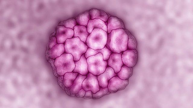 Yüksek riskli HPV türleri rahim ağzı kanserlerine yol açılıyor.
