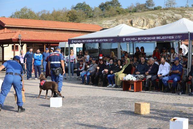 Başkan Karaosmanoğlu, ‘’Sokak hayvanları hayatın bir parçasıdır’’