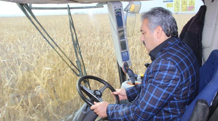 Ziraat Odası Başkanı Muğlu: “Mısır fiyatları beklentilerin çok altında”