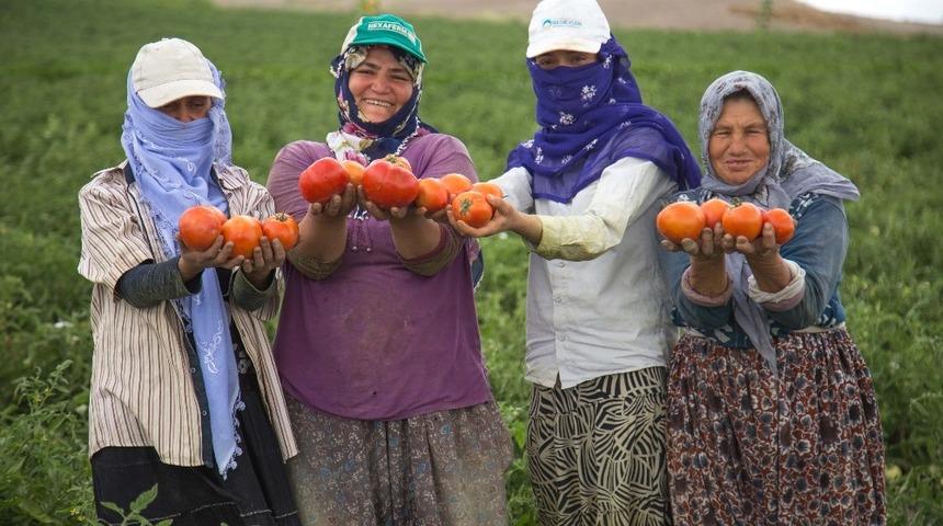 Ankara Büyükşehirden tarım ve hayvancılığa tam destek