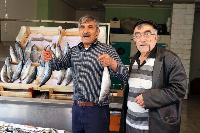 Yozgat’ta tezgahların gözdesi palamut balığı oldu