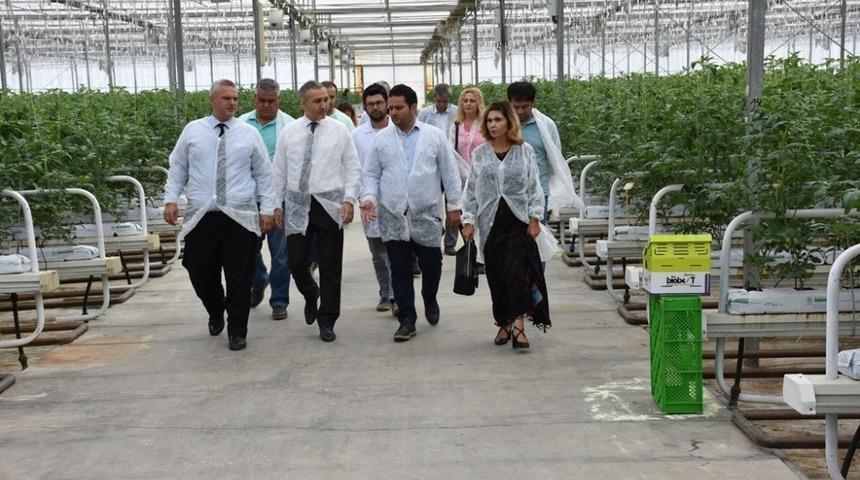 Manisa jeotermal seracılıkta T&uuml;rkiye ikincisi