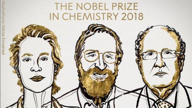 Nobel Kimya Ödülü, protein üretimi çalışmalarıyla Frances Arnold, George P. Smith ve Gregory Winter'a verildi